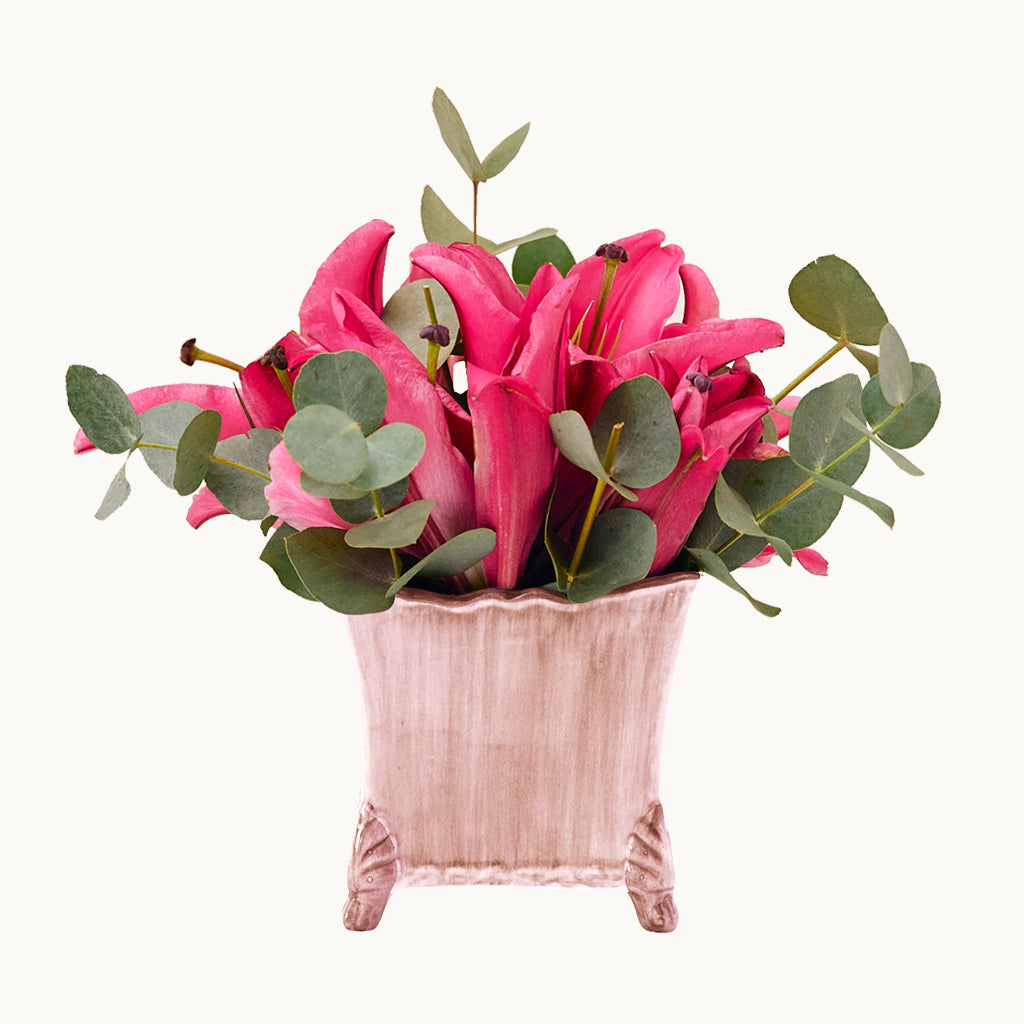 Ceramic planter pink